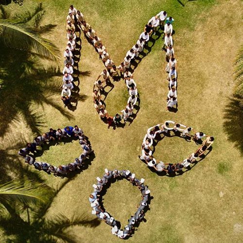 150 Employees M logo Drone shot