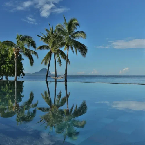 Infinity Pool