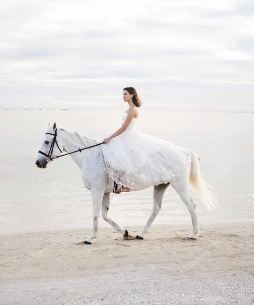 horse riding on the beach